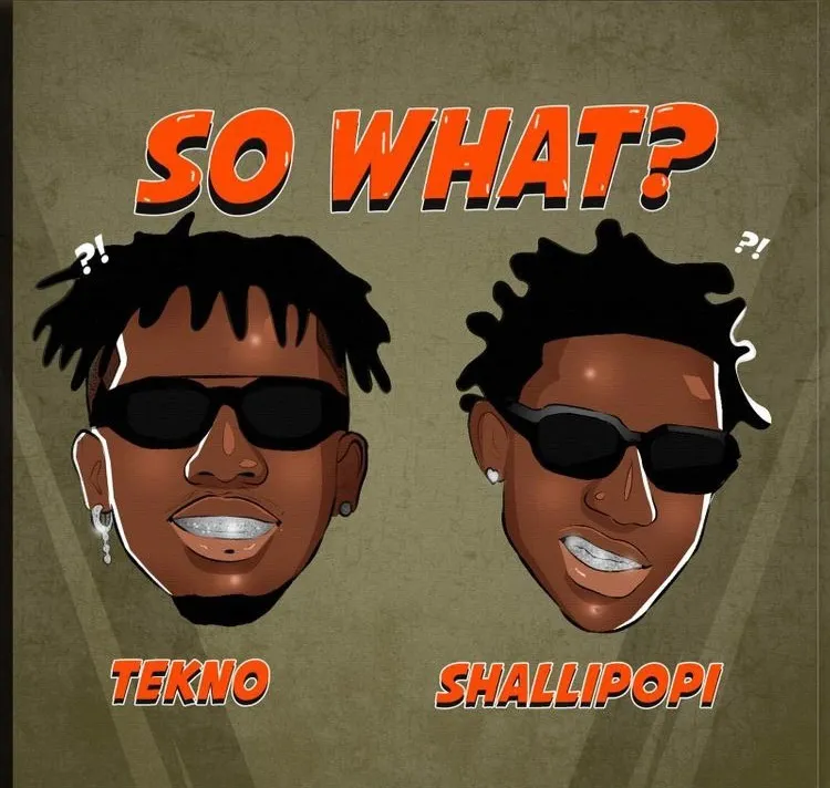 Tekno – So What? ft Shallipopi